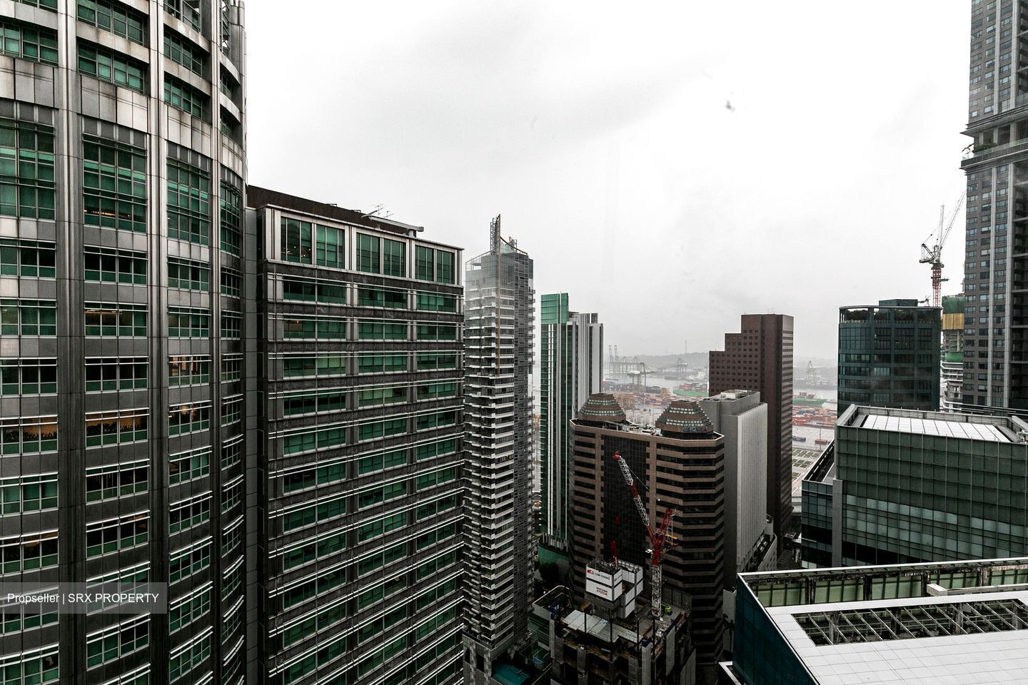 International Plaza (D2), Apartment #557823621